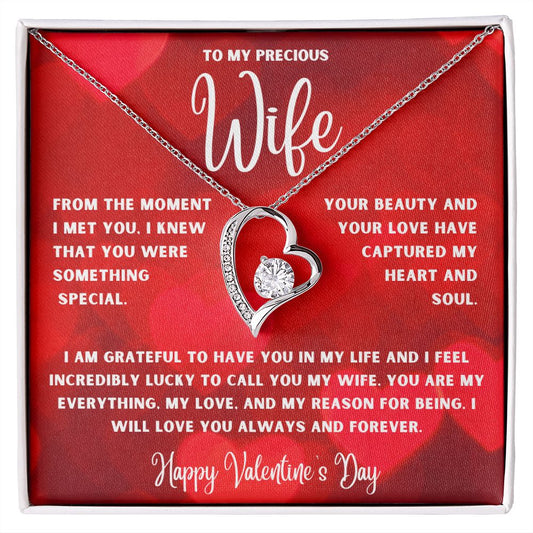 To My Precious Wife From The Moment I Met You Valentine's Day
